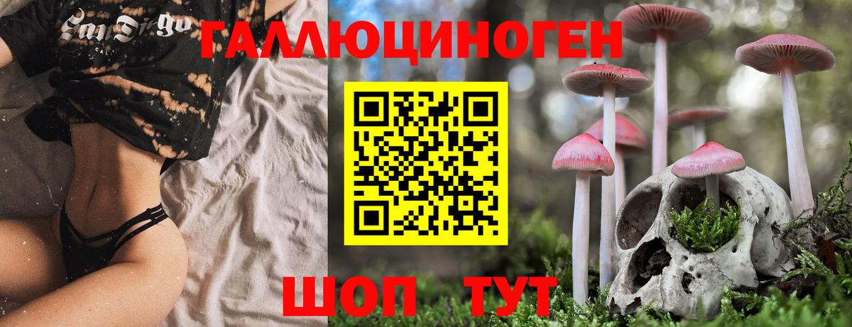 Рязань  продажа наркотиков  Вход с VPN  Галлюциногенные грибы прущие грибы 